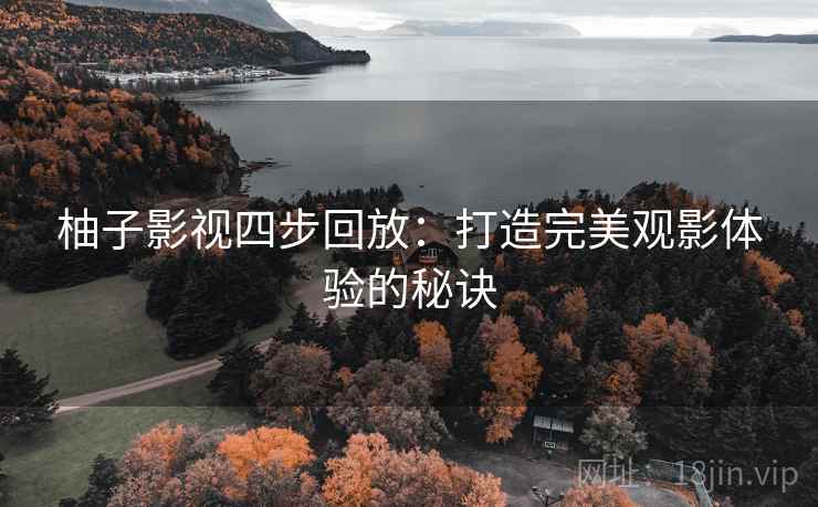 柚子影视四步回放：打造完美观影体验的秘诀