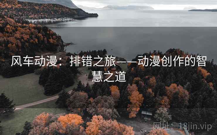 风车动漫：排错之旅——动漫创作的智慧之道