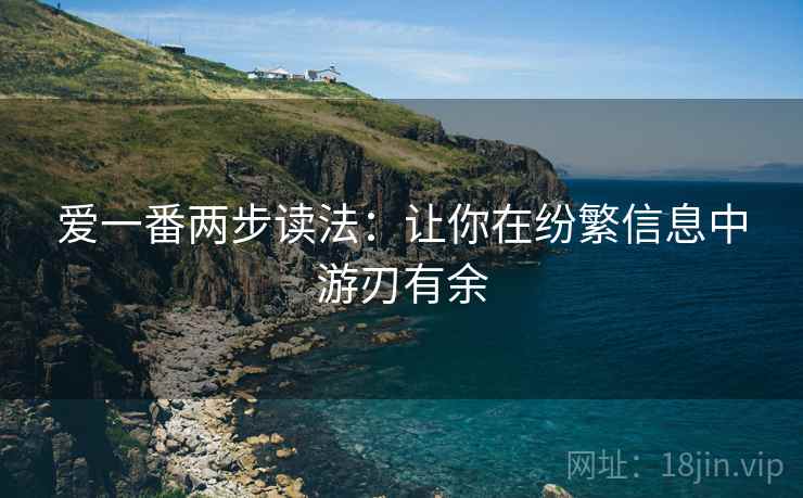 爱一番两步读法：让你在纷繁信息中游刃有余