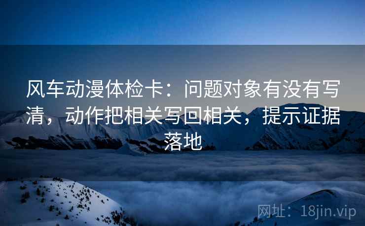 风车动漫体检卡：问题对象有没有写清，动作把相关写回相关，提示证据落地